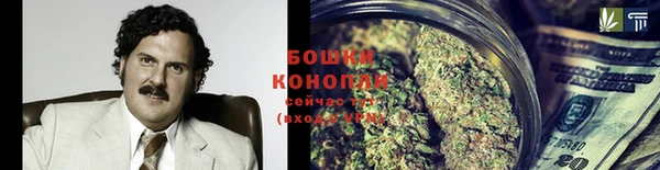 PSILOCYBIN Армянск