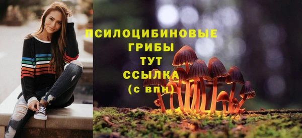 гашишное масло Аркадак